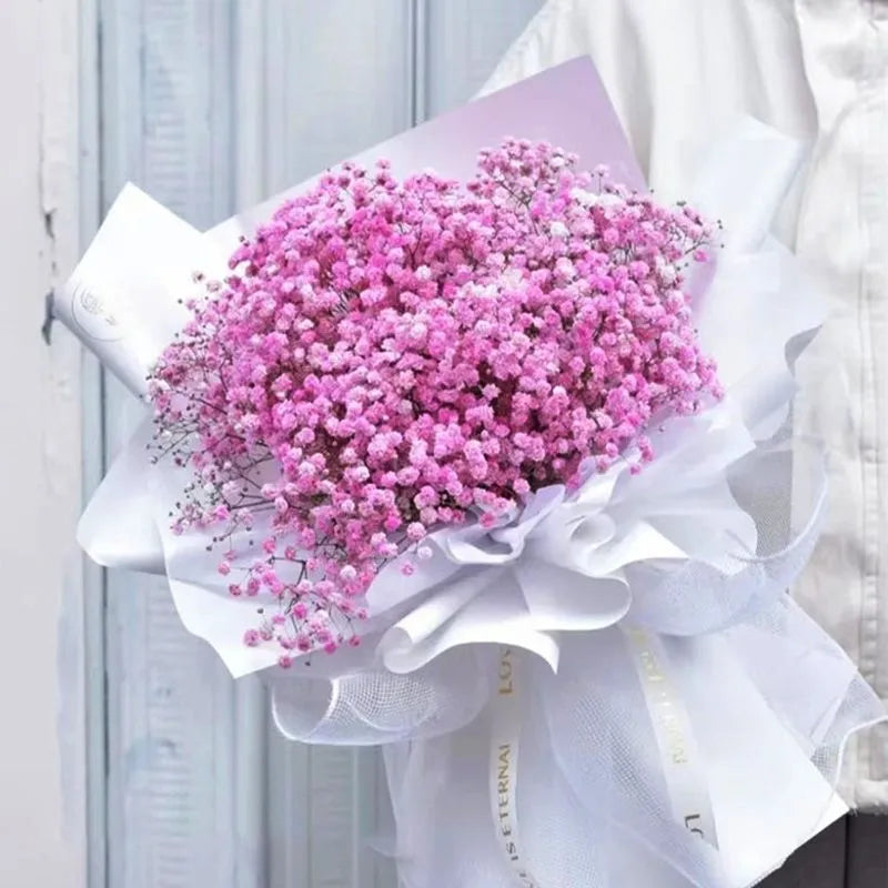What Does Baby’s Breath Symbolize? Innocence, Everlasting Love and Wedding Flower Meaning
