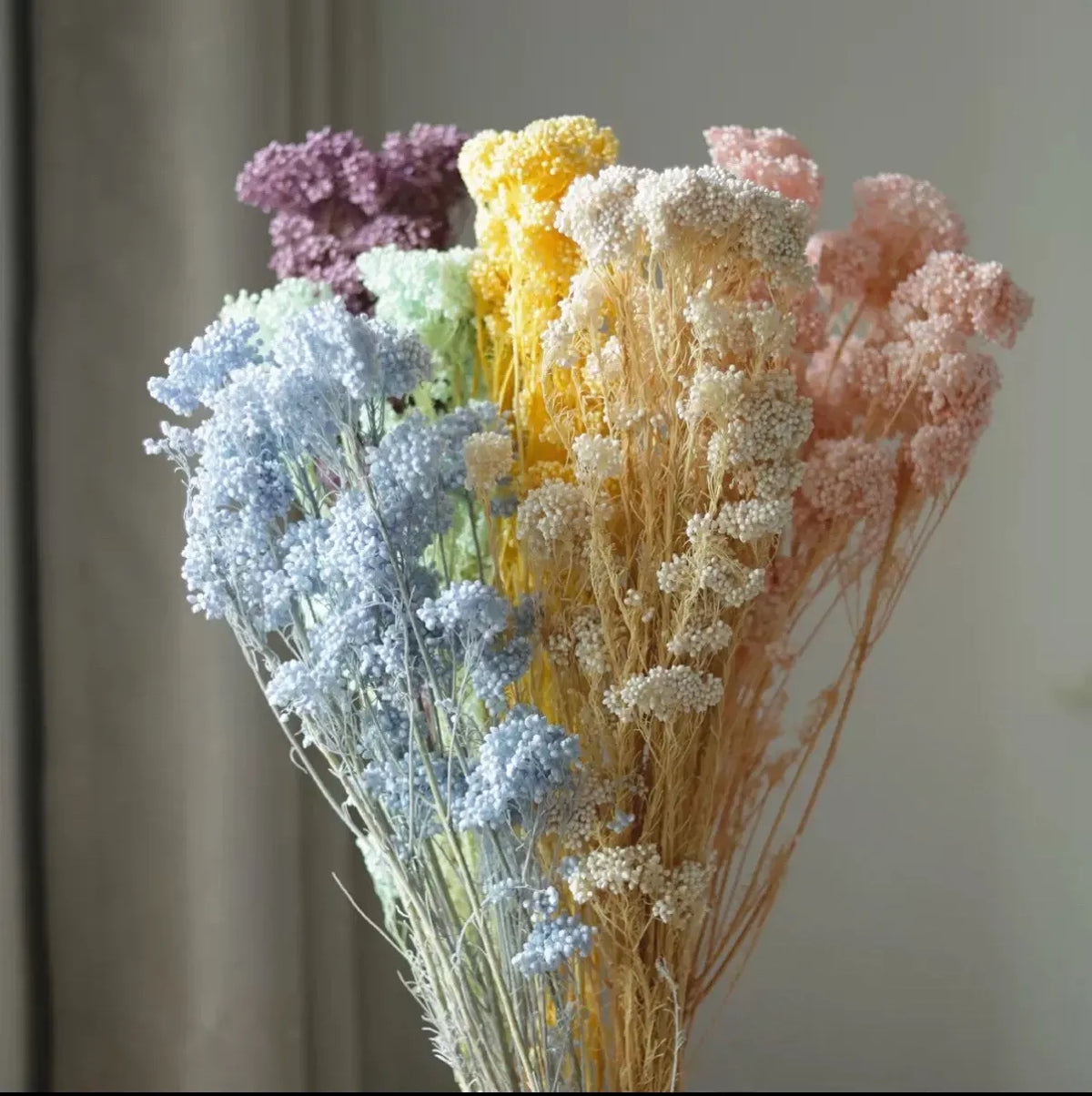 What Does Rice Flower Symbolize? Purity, Simplicity and Natural Beauty
