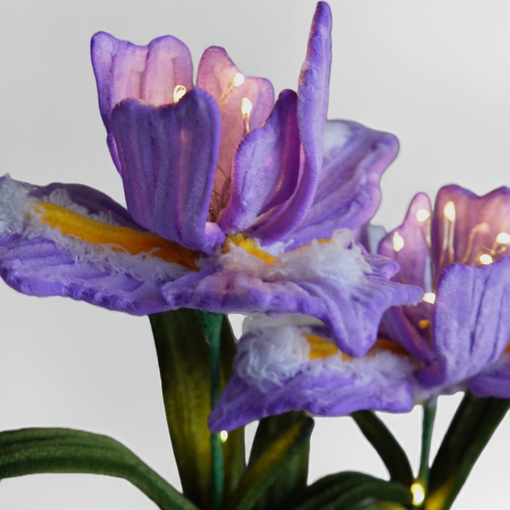 DIY Pipe Cleaner Iris Night Light Kit – Handmade Flower Lamp Gift for Mom & Girlfriend